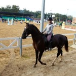 9 DERBI horse riding in St.Petersburg